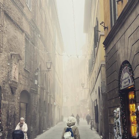 イタリア異世界ハネムーンDay5｜中世に迷い込める古都シエナ