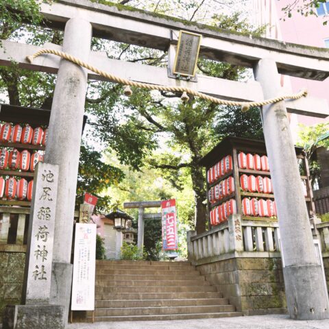 神の気まぐれで他者フォトンを祓ってもらった話