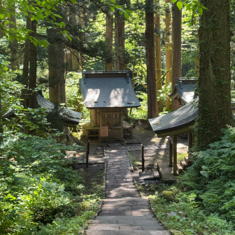 量子測定器の説明をしないと神様が怪しんでくるお話。
